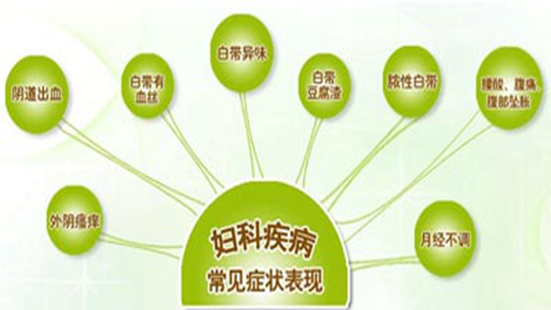 北京中医医院:传统医学的现代传承